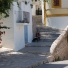 IBIZA 2010