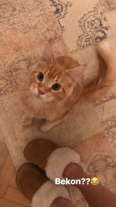 Marcelina Zawadzka prosi o pomoc! Co się stało?