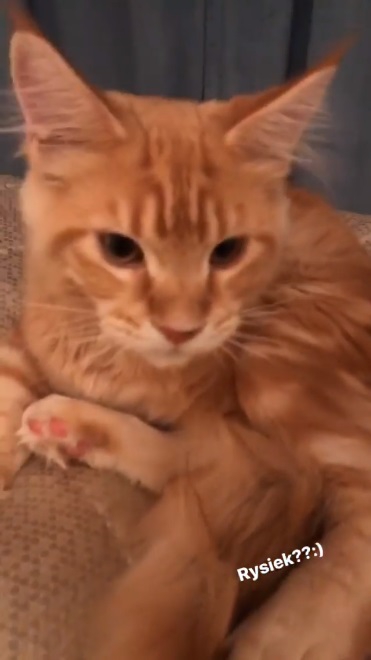 Marcelina Zawadzka prosi o pomoc! Co się stało?