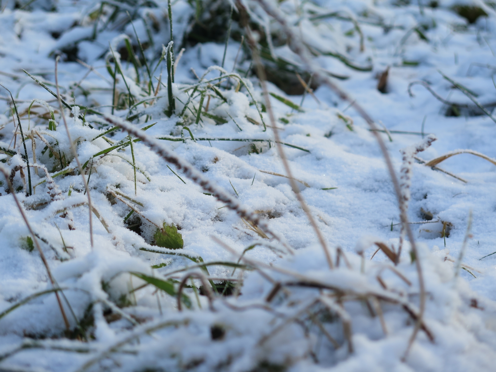 Zima w Zakopanem! Tam zrobiło się biało! [ZDJĘCIA]                                           