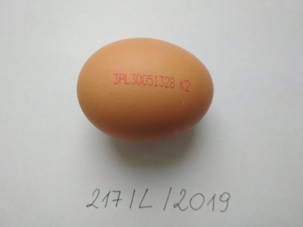 Salmonella w kolejnej partii jaj z Biedronki! Jest ostrzeżenie GIS                    