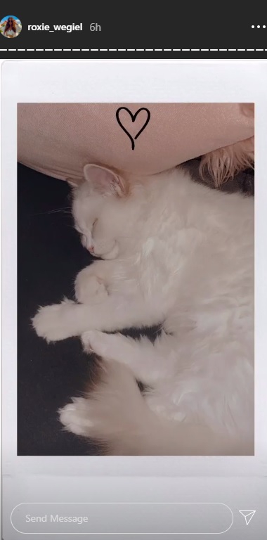 Roxie Węgiel pokazała nowego członka rodziny! Uroczy!                                                                            