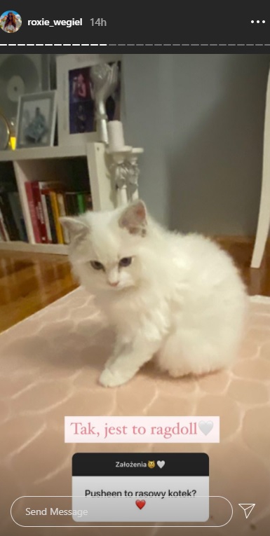 Roxie Węgiel pokazała nowego członka rodziny! Uroczy!                                                                            