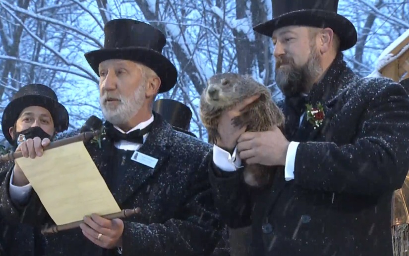 Dzień Świstaka 2021. Phil zobaczył swój cień! Co to oznacza? Czy prognoza się sprawdzi?