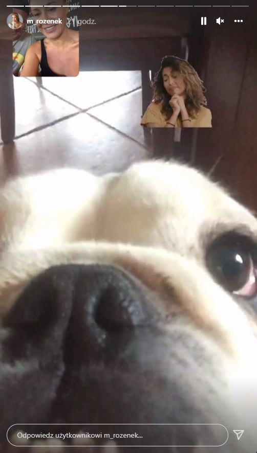 Małgorzacie Rozenek brakuje towarzystwa psów. "Codziennie rozmawiamy z nimi"