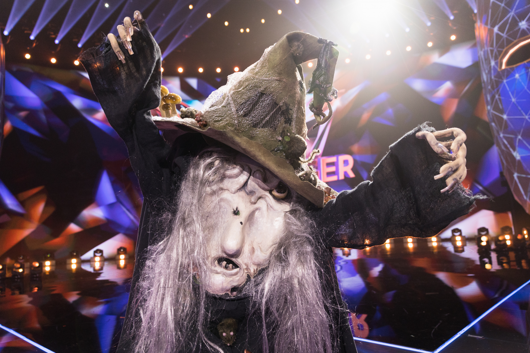 "Mask Singer". Ośmiornica, Ważka, Bocian. Jakie gwiazdy kryją się pod strojami? [FOTO]