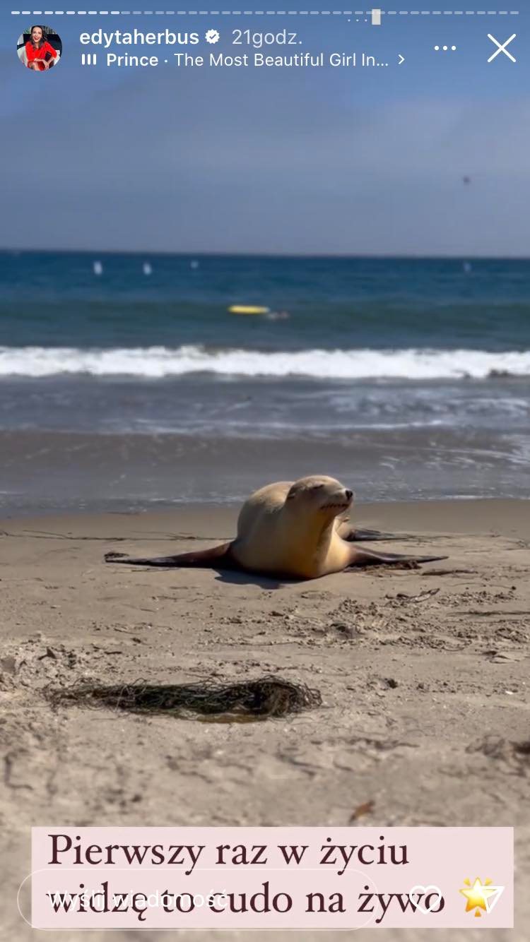 Edyta Herbuś w promieniach słońca. Eksponuje opalony dekolt i podbija sieć! [ZDJĘCIA]