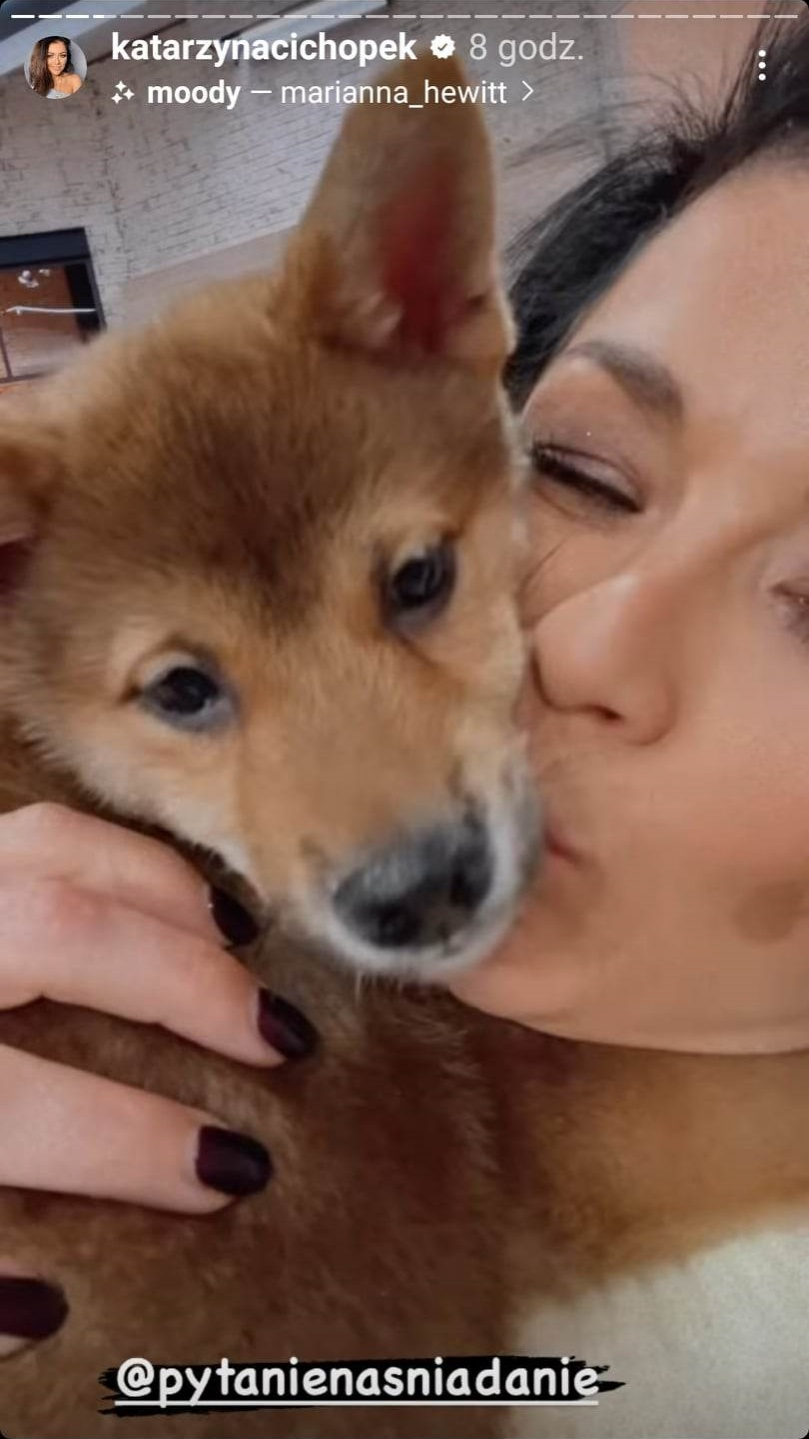 Kasia Cichopek obsypała go całusami w studiu "PnŚ". To wcale nie Maciej Kurzajewski [ZDJĘCIA]