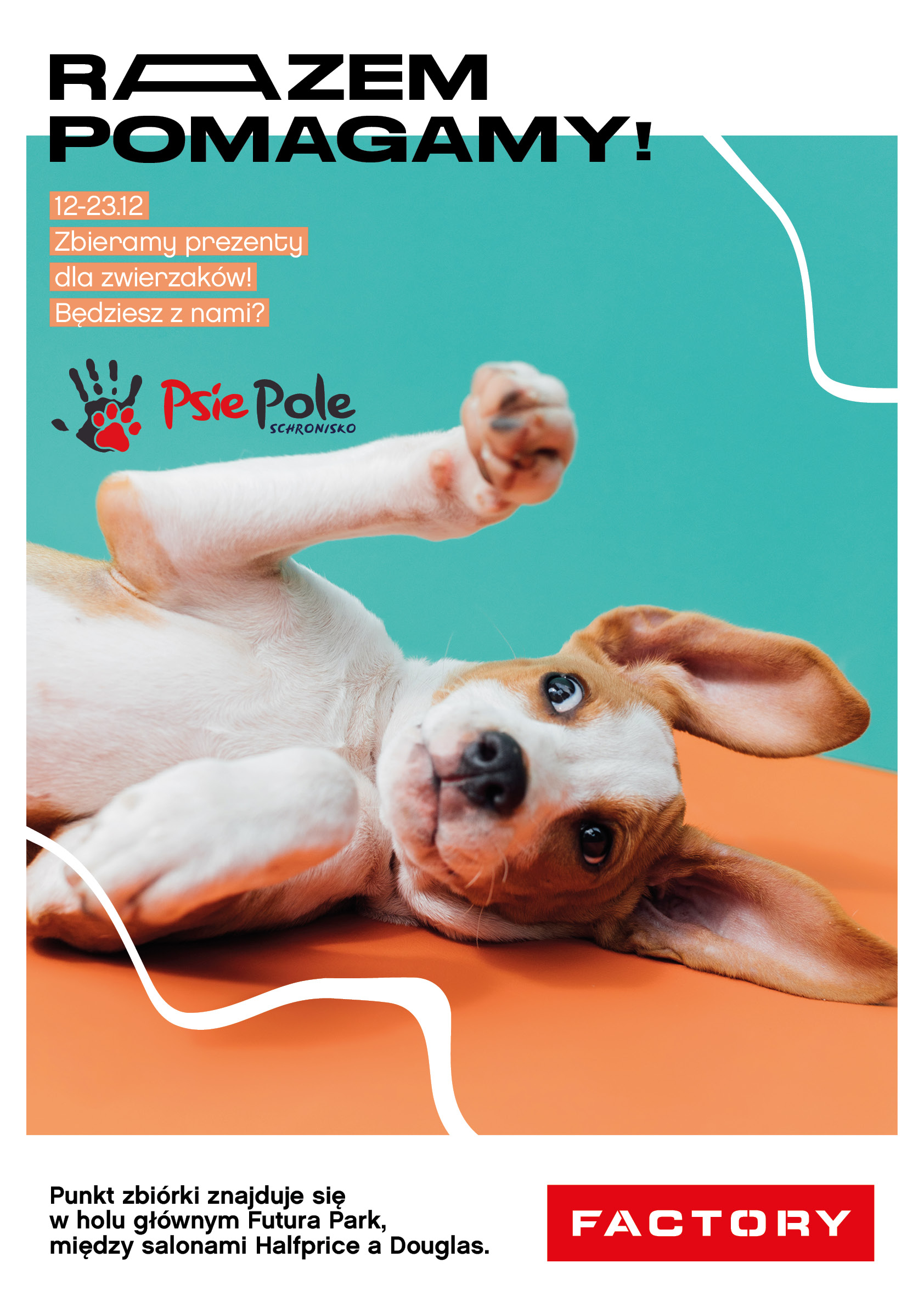 Pomagamy zwierzakom w FACTORY Kraków! Zbiórka trwa. Sprawdź szczegóły!