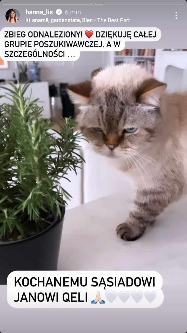 Hanna Lis zamieściła pilny apel o pomoc. Zaginął [FOTO]