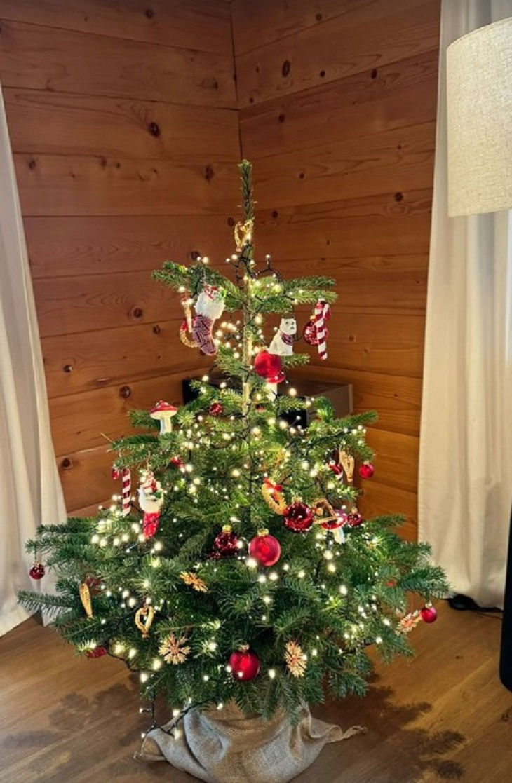 Ania Starmach ubrała już choinkę