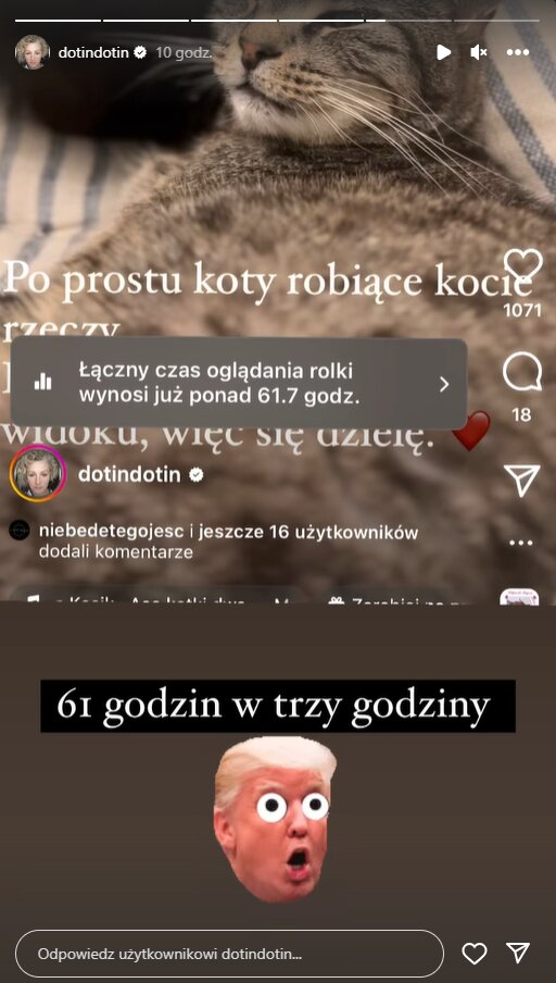 Dorota Szelągowska w szoku! Zobaczcie, co robią jej koty!