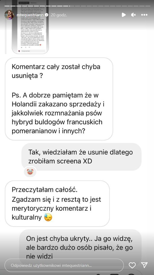 Influencerka w ogniu krytyki! Poszło o jej nowego psa – to mieszanka husky i pomeraniana
