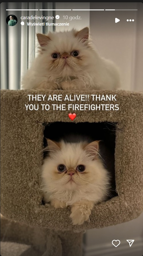 Spłonęła willa supermodelki Cary Delevingne. "Nie mogę w to uwierzyć"