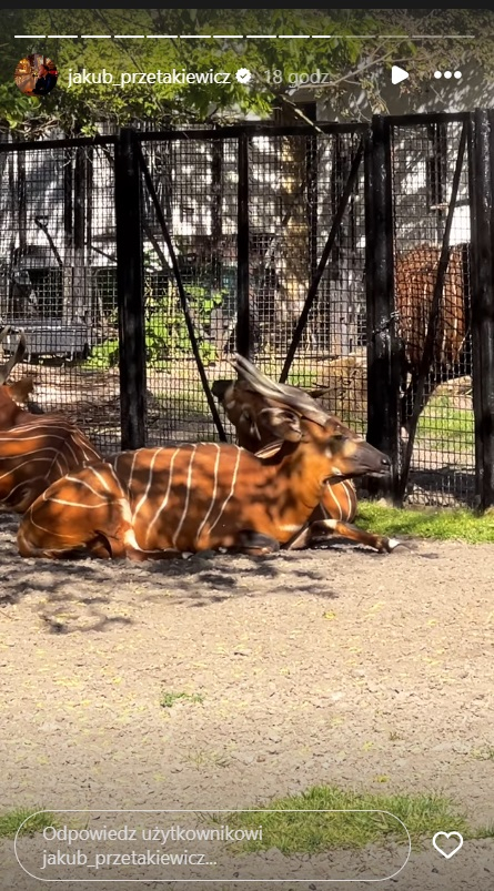 Ola Ciupa u boku syna Joanny Przetakiewicz! Co z Kubańczykiem? 