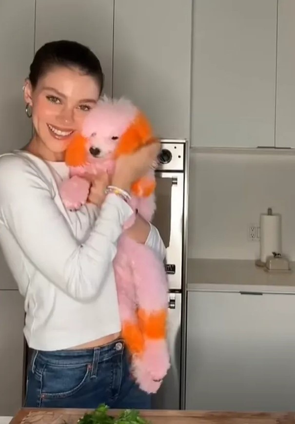 Internauci oburzeni. Brooklyn Beckham z żoną pofarbowali swoje psy na różowo