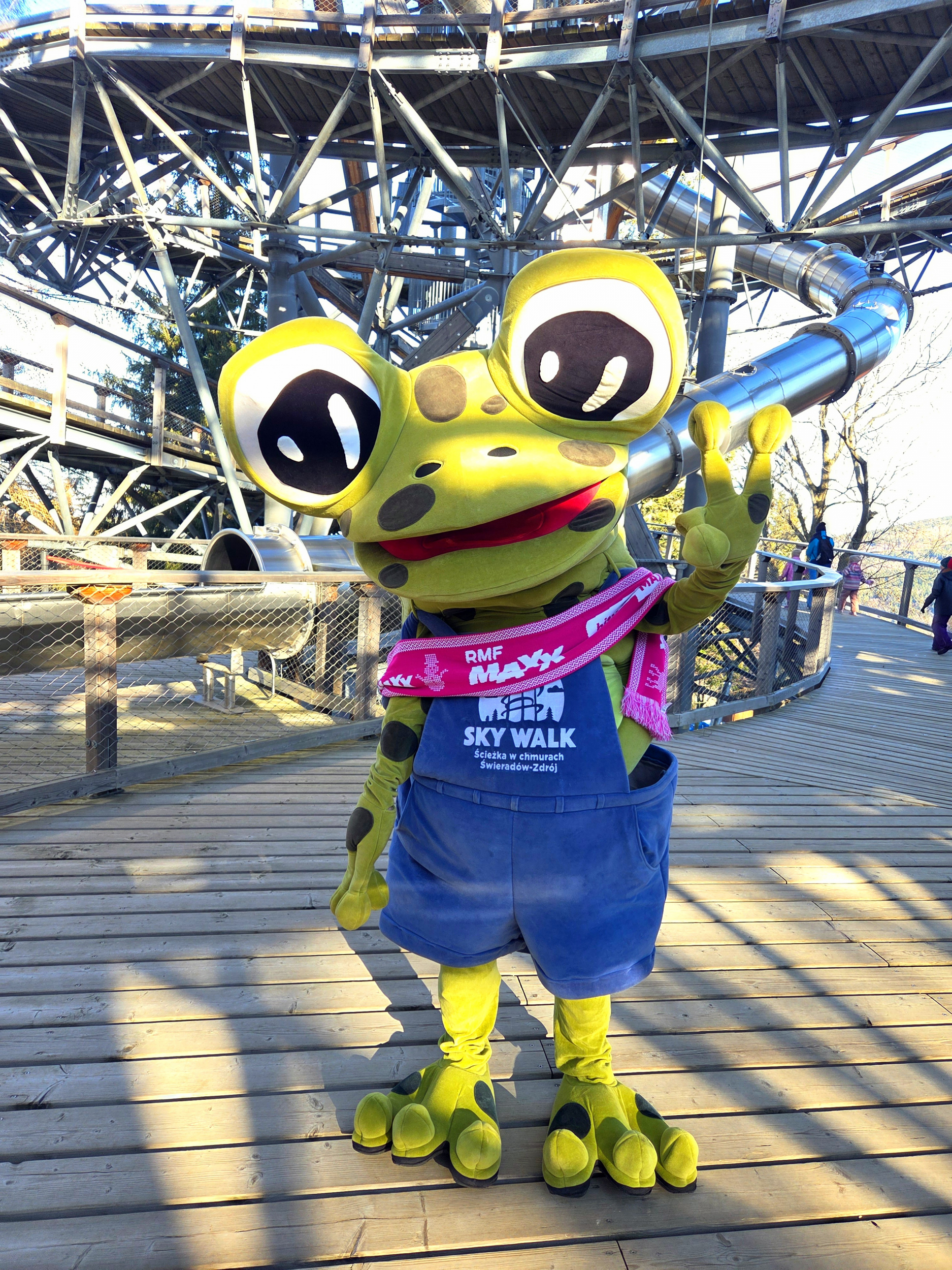 W chmurach nad Górami Izerskimi – dlaczego Sky Walk Świeradów-Zdrój to miejsce, którego nie można przegapić