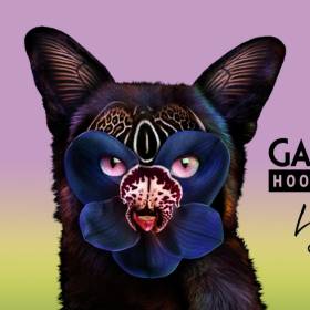 Już dziś Galantis & Hook N Sling – "Love On Me" w RMF MAXXX!