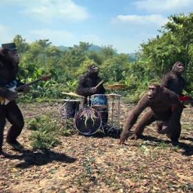 Planeta Małp w teledysku Coldplay. Zobacz zwiastun!